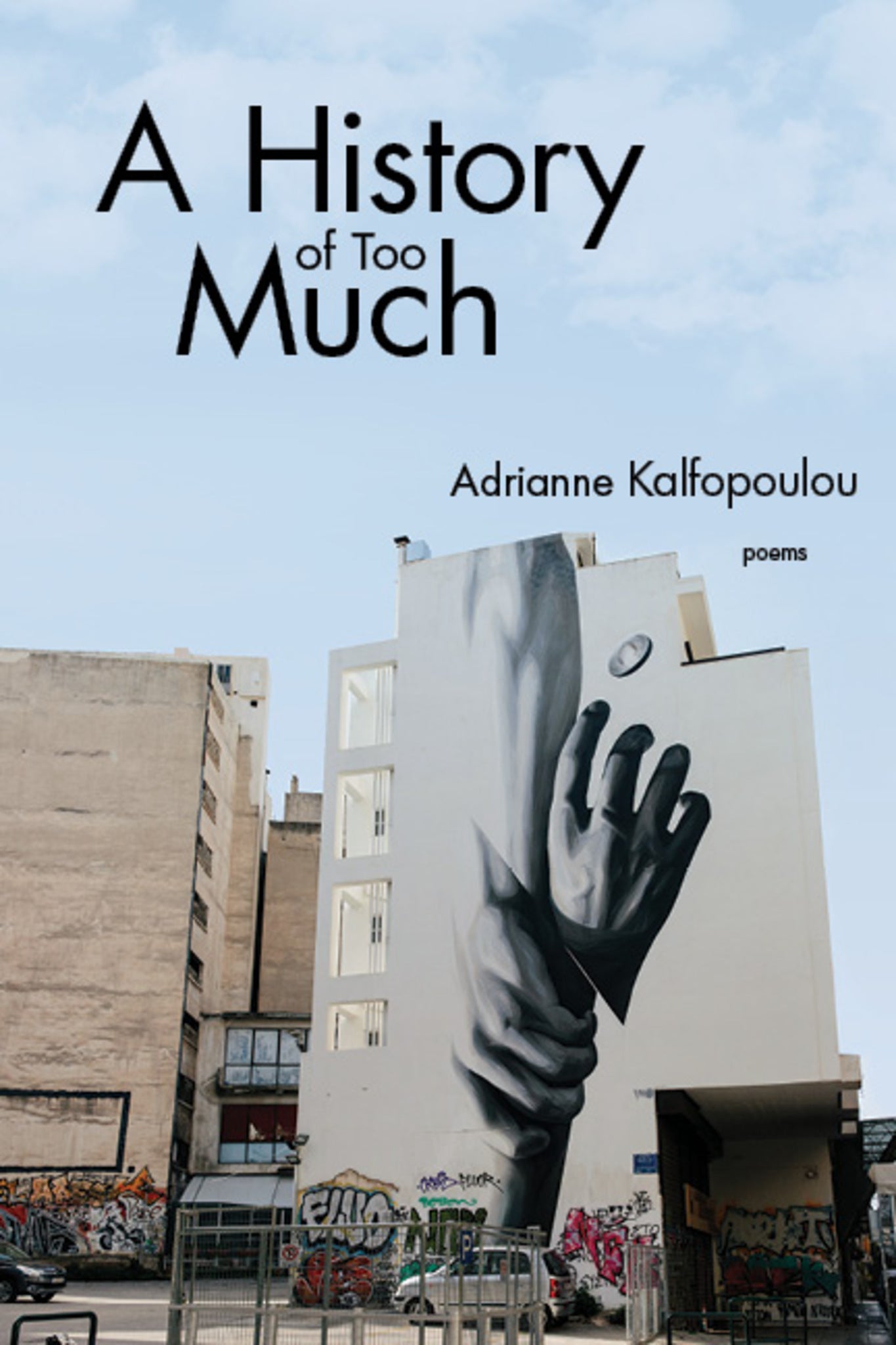 Cover image for A History of Too Much ISBN 9781597097543